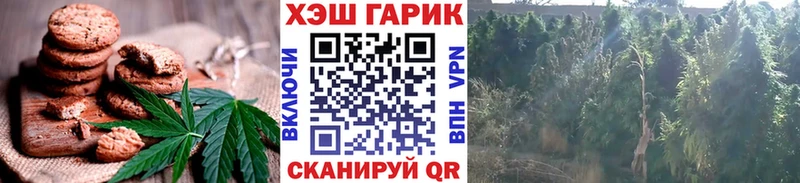 Печенье с ТГК конопля  Купить где  Моршанск 