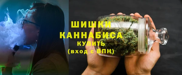 Альфа ПВП Корсаков