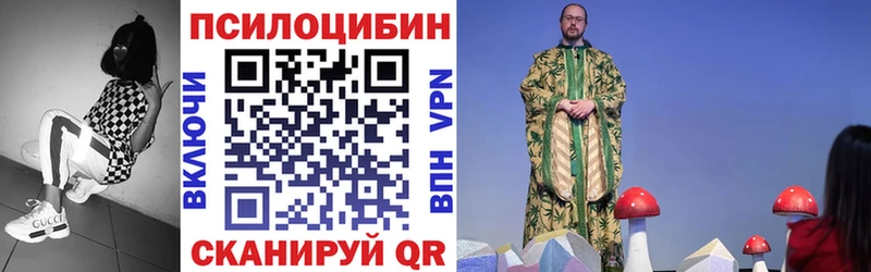 Купить закладки  Моршанск  Псилоцибиновые грибы мицелий 